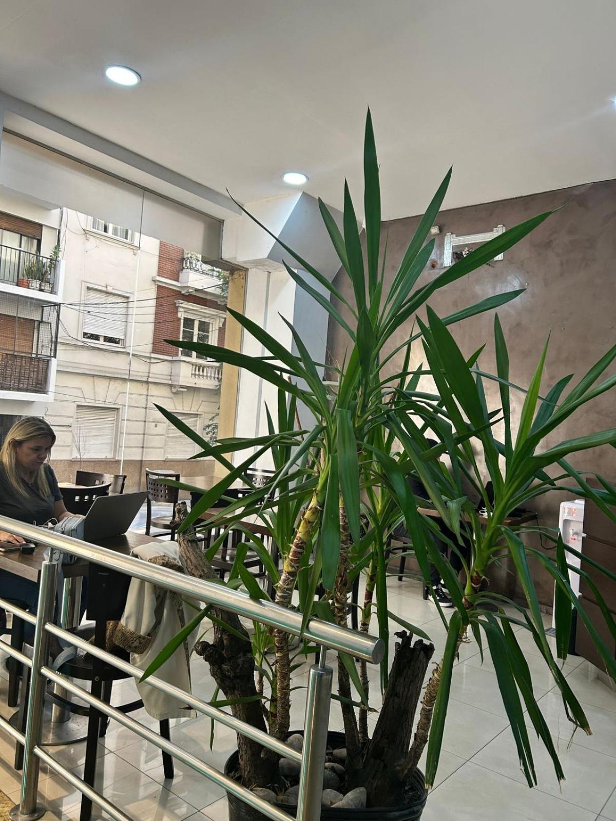 Hostel Che Ba Buenos Aires Eksteriør bilde